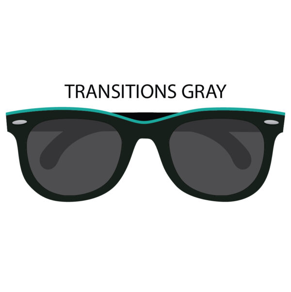 Transitions Gray