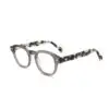 VERO0017-gray-tortoise-side2